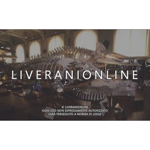 1990 MONTECARLO -MUSEO OCEAONGRAFICO L\'Istituto e museo oceanografico di Monaco è un centro di conservazione e studi del mare fondato nel 1889, mentre l\'Istituzione oceanografica fu fondata nel 1906. AG ALDO LIVERANI SAS