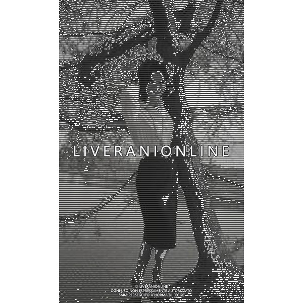 RETROSPETTIVA LEA MASSARI ATTRICE NELLA FOTO LEA MASSARI AG ALDO LIVERANI SAS