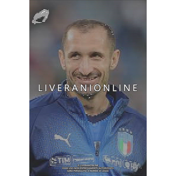 Torino 11.06.2019 Stadio Allianz Stadium Italia vs Bosnia ed Erzegovina Qualiificazioni Euro 2020 ©Viganti/Agenzia Aldo Liverani Nella foto: giorgio chiellini