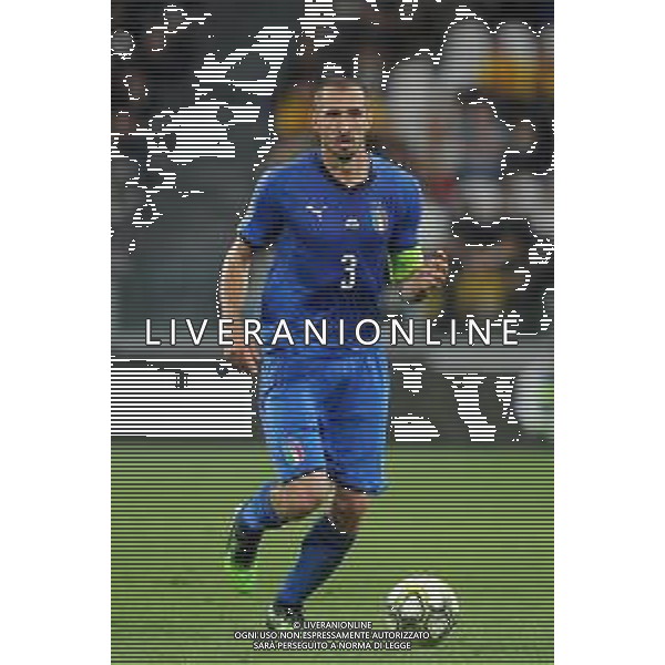 Torino 11.06.2019 Stadio Allianz Stadium Italia vs Bosnia ed Erzegovina Qualiificazioni Euro 2020 ©Viganti/Agenzia Aldo Liverani Nella foto: giorgio chiellini