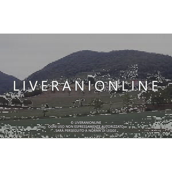 La strage di Marzabotto (dal maggiore dei comuni colpiti) o più correttamente eccidio di Monte Sole fu un insieme di stragi compiute dalle truppe nazifasciste in Italia tra il 29 settembre e il 5 ottobre 1944, nel territorio dei comuni di Marzabotto, Grizzana Morandi e Monzuno che comprendono le pendici di Monte Sole in provincia di Bologna. Fu un crimine contro l\'umanità e uno dei più gravi crimini di guerra compiuti contro la popolazione civile perpetrati dalle SS in Europa occidentale durante la seconda guerra mondiale.. Le vittime, confrontando i dati dell\'anagrafe, furono 1830 AG ALDO LIVERANI SAS