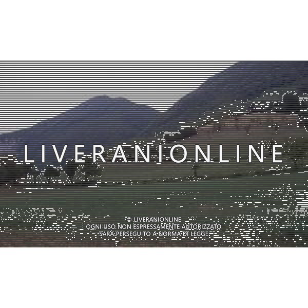 La strage di Marzabotto (dal maggiore dei comuni colpiti) o più correttamente eccidio di Monte Sole fu un insieme di stragi compiute dalle truppe nazifasciste in Italia tra il 29 settembre e il 5 ottobre 1944, nel territorio dei comuni di Marzabotto, Grizzana Morandi e Monzuno che comprendono le pendici di Monte Sole in provincia di Bologna. Fu un crimine contro l\'umanità e uno dei più gravi crimini di guerra compiuti contro la popolazione civile perpetrati dalle SS in Europa occidentale durante la seconda guerra mondiale.. Le vittime, confrontando i dati dell\'anagrafe, furono 1830 AG ALDO LIVERANI SAS