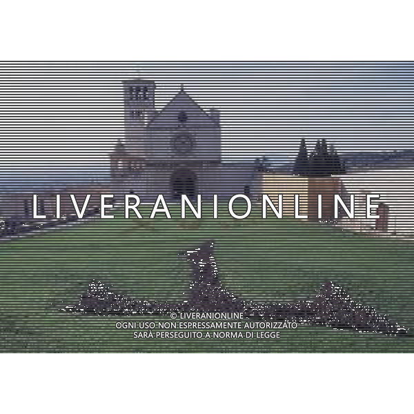 Assisi è una località di collina dell\'Umbria, in Italia centrale. È il luogo di nascita di San Francesco (1181-1226), uno dei santi patroni d\'Italia. La basilica di San Francesco è un\'imponente chiesa su 2 livelli consacrata nel 1253. Gli affreschi duecenteschi che ritraggono la vita di San Francesco sono stati attribuiti, tra gli altri, anche a Giotto e Cimabue. La cripta ospita il sarcofago in pietra del santo. AG ALDO LIVERANI SAS