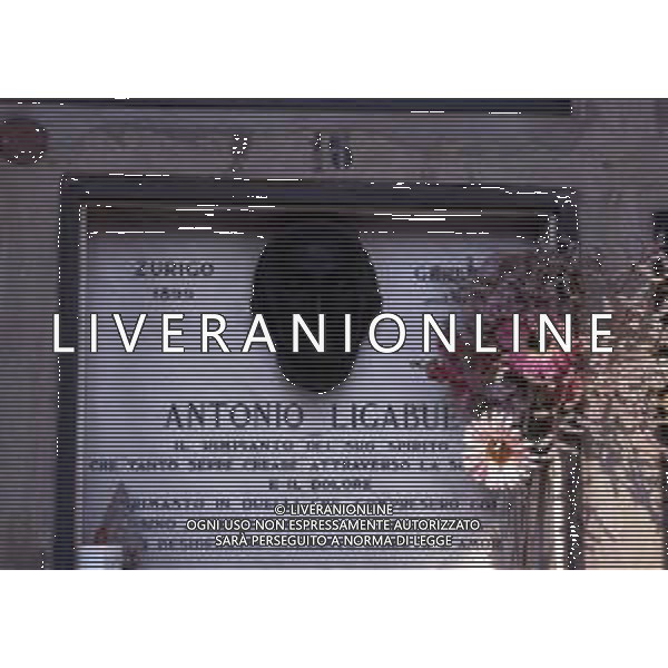 Gualtieri è un comune italiano di 6 477 abitanti della provincia di Reggio Emilia in Emilia-Romagna, nella bassa reggiana dove ha vissuto Antonio Ligabue (Zurigo, 18 dicembre 1899 – Gualtieri, 27 maggio 1965) è stato un pittore italiano la cui arte è generalmente classificata come espressionista ag aldo liverani sas