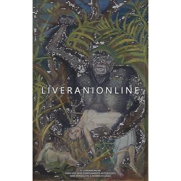 Antonio Ligabue (Zurigo, 18 dicembre 1899 – Gualtieri, 27 maggio 1965) è stato un pittore italiano la cui arte è generalmente classificata come espressionista nella foto dipinto di antonio ligabue donna rapita dal gorilla ag aldo liverani sas