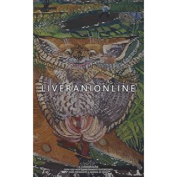 Antonio Ligabue (Zurigo, 18 dicembre 1899 – Gualtieri, 27 maggio 1965) è stato un pittore italiano la cui arte è generalmente classificata come espressionista nella foto dipinto di antonio ligabue la volpe cattura una gallina ag aldo liverani sas