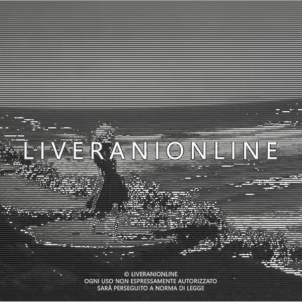 1950 SPERLONGA AG ALDO LIVERANI SAS
