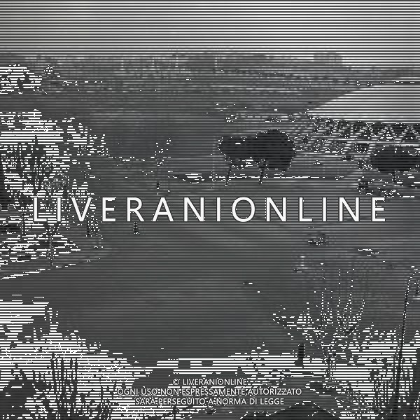 1950 ROMA QUARTIERE PARIOLI AG ALDO LIVERANI SAS