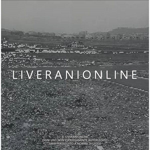 1950 ROMA QUARTIERE PARIOLI AG ALDO LIVERANI SAS