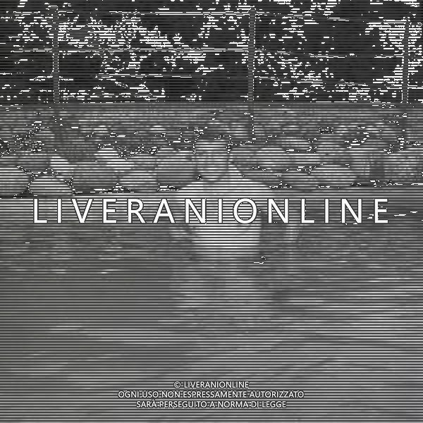 1968 RETROSPETTIVA FRANCO NONES FONDISTA ITALIANO AG ALDO LIVERANI SAS