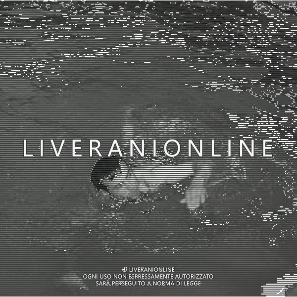 1968 RETROSPETTIVA FRANCO NONES FONDISTA ITALIANO AG ALDO LIVERANI SAS