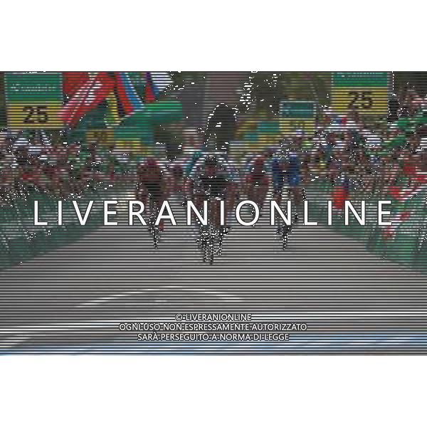 16-06-2019 Tour De Suisse; Tappa 02 Langnau I.e. - Langnau I.e.; 2019, Bora - Hansgrohe; Sagan, Peter; Langnau I.e.; ©SIROTTI / AGENZIA ALDO LIVERANI SAS