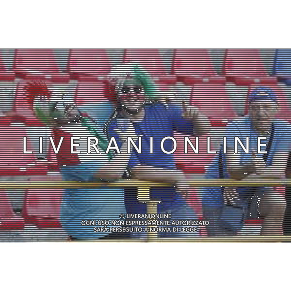 UEFA - Campionato Europeo Under 21 Italia 2019 gruppo A 16/06/2019 Italia - Spagna nella foto: Tifosi dell’Italia ©Claudio Zamagni/Agenzia Aldo Liverani supporters of italy during UEFA Championship Under 21 Italy 2019 group A match between Italy and Spain at Renato Dall\'Ara Stadium on June 16 2019. photo credit by Claudio Zamagni/Aldo Liverani Photo Agency/ AGENZIA ALDO LIVERANI SAS