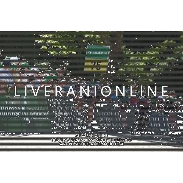 17-06-2019 Tour De Suisse; Tappa 03 Flamatt - Murten; 2019, Bora - Hansgrohe; Sagan, Peter; Murten; FOTO STEFANO SIROTTI-AG ALDO LIVERANI SAS