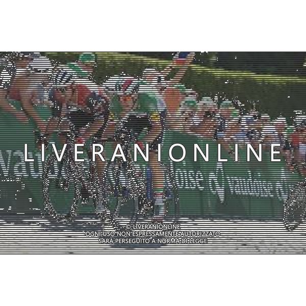 17-06-2019 Tour De Suisse; Tappa 03 Flamatt - Murten; 2019, Deceunick - Quickstep; 2019, Trek - Segafredo; Viviani, Elia; Degenkolb, John; Murten; © SIROTTI / AGENZIA ALDO LIVERANI SAS