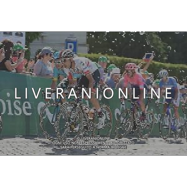 17-06-2019 Tour De Suisse; Tappa 03 Flamatt - Murten; 2019, Uae - Emirates; Aru, Fabio; Murten; © SIROTTI / AGENZIA ALDO LIVERANI SAS