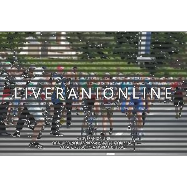 18-06-2019 Tour De Suisse; Tappa 04 Murten - Arlesheim; 2019, Deceunick - Quickstep; Viviani, Elia; Asgreen, Kasper; Arlesheim; ©SIROTTI / AGENZIA ALDO LIVERANI SAS