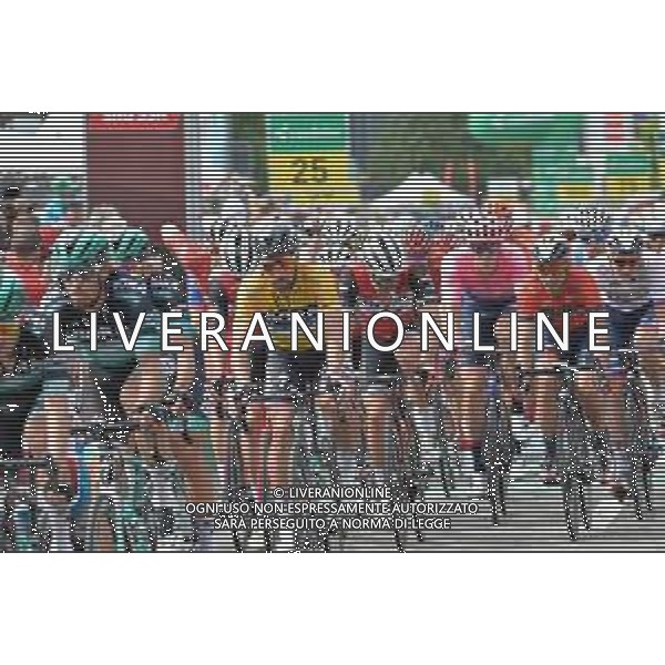 18-06-2019 Tour De Suisse; Tappa 04 Murten - Arlesheim; 2019, Bora - Hansgrohe; Sagan, Peter; Arlesheim; ©SIROTTI / AGENZIA ALDO LIVERANI SAS