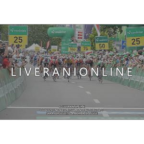 18-06-2019 Tour De Suisse; Tappa 04 Murten - Arlesheim; 2019, Deceunick - Quickstep; 2019, Bora - Hansgrohe; 2019, Sunweb; 2019, Mitchelton - Scott; Viviani, Elia; Sagan, Peter; Matthews, Michael; Trentin, Matteo; Arlesheim; ©SIROTTI / AGENZIA ALDO LIVERANI SAS