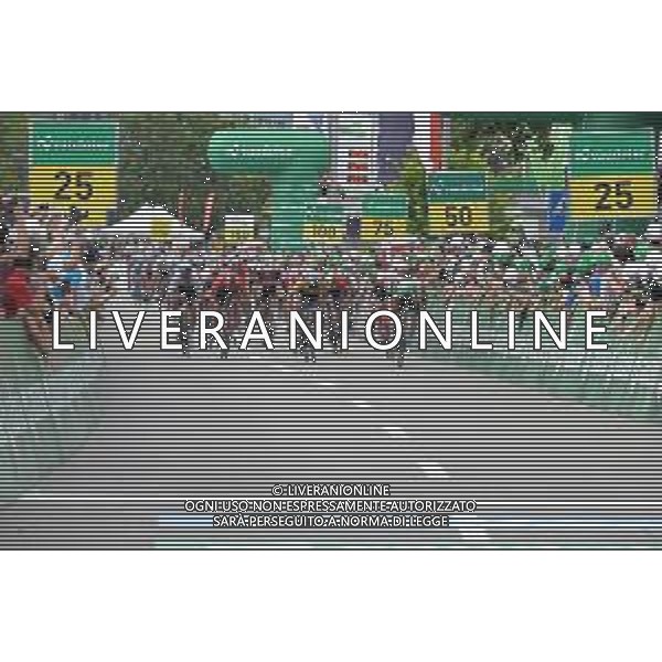 18-06-2019 Tour De Suisse; Tappa 04 Murten - Arlesheim; 2019, Deceunick - Quickstep; 2019, Bora - Hansgrohe; 2019, Sunweb; 2019, Mitchelton - Scott; Viviani, Elia; Sagan, Peter; Matthews, Michael; Trentin, Matteo; Arlesheim; ©SIROTTI / AGENZIA ALDO LIVERANI SAS