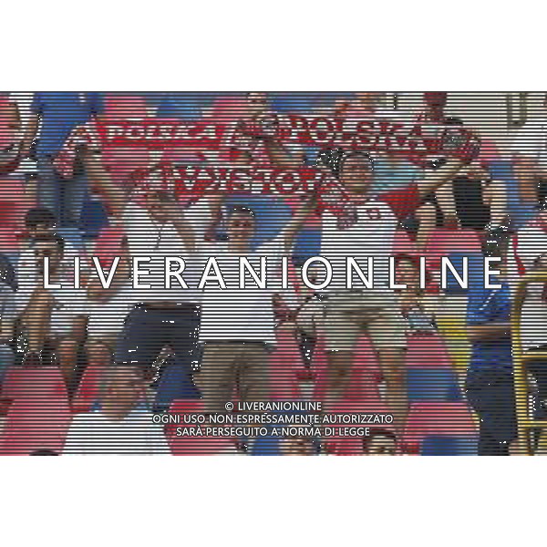 UEFA - Campionato Europeo Under 21 Italia 2019 gruppo A 19/06/2019 Italia - Polonia nella foto: tifosi della polonia ©Claudio Zamagni/Agenzia Aldo Liverani supporters of poland during UEFA Championship Under 21 Italy 2019 group A match between Italy and Poland at Renato Dall\'Ara Stadium on June 19 2019. photo credit by Claudio Zamagni/Aldo Liverani Photo Agency / AGENZIA ALDO LIVERANI SAS