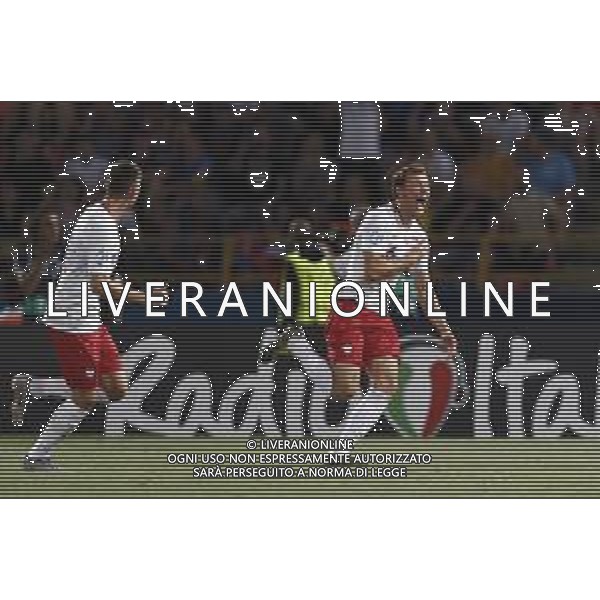 UEFA - Campionato Europeo Under 21 Italia 2019 gruppo A 19/06/2019 Italia - Polonia nella foto: Esultanza dopo il gol di Bielik Krystian (Poland) ©Claudio Zamagni/Agenzia Aldo Liverani Bielik Krystian(Poland) celebrates after scoring a goalduring UEFA Championship Under 21 Italy 2019 group A match between Italy and Poland at Renato Dall\'Ara Stadium on June 19 2019. photo credit by Claudio Zamagni/Aldo Liverani Photo Agency / AGENZIA ALDO LIVERANI SAS