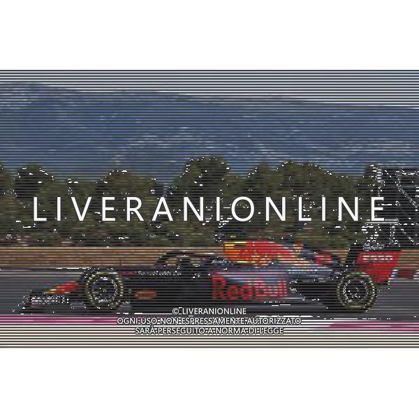 Pierre Gasly (FRA) Red Bull Racing RB15. 21.06.2019. Formula 1 World Championship, Rd 8, French Grand Prix, Paul Ricard, France, Practice Day. / AGENZIA ALDO LIVERANI SAS - ITALY ONLY EDITORIAL USE ONLY