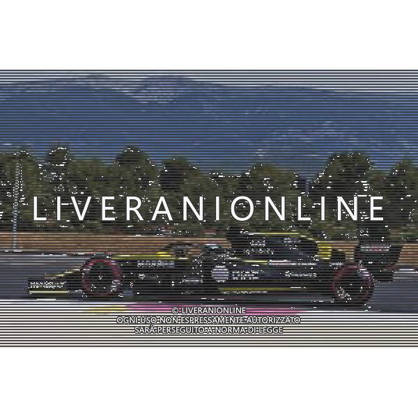 Daniel Ricciardo (AUS) Renault F1 Team RS19. 21.06.2019. Formula 1 World Championship, Rd 8, French Grand Prix, Paul Ricard, France, Practice Day. / AGENZIA ALDO LIVERANI SAS - ITALY ONLY EDITORIAL USE ONLY