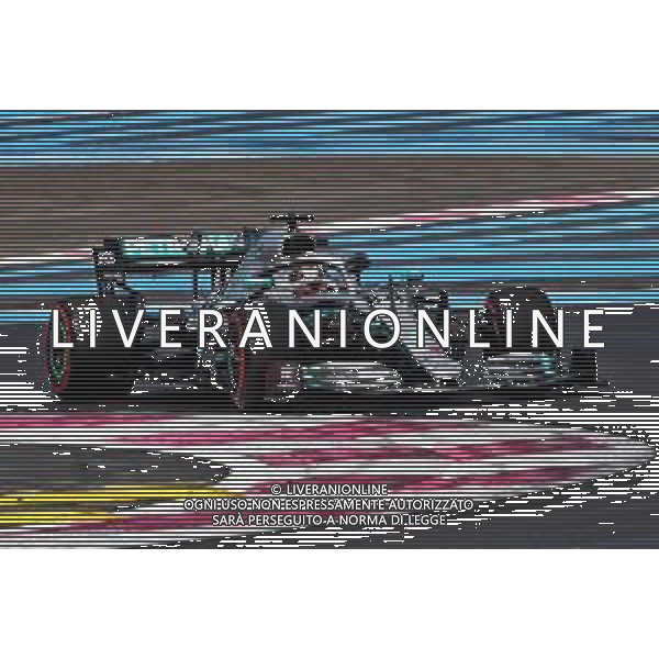 Lewis Hamilton (GBR) Mercedes AMG F1 W10. 21.06.2019. Formula 1 World Championship, Rd 8, French Grand Prix, Paul Ricard, France, Practice Day. / AGENZIA ALDO LIVERANI SAS - ITALY ONLY EDITORIAL USE ONLY