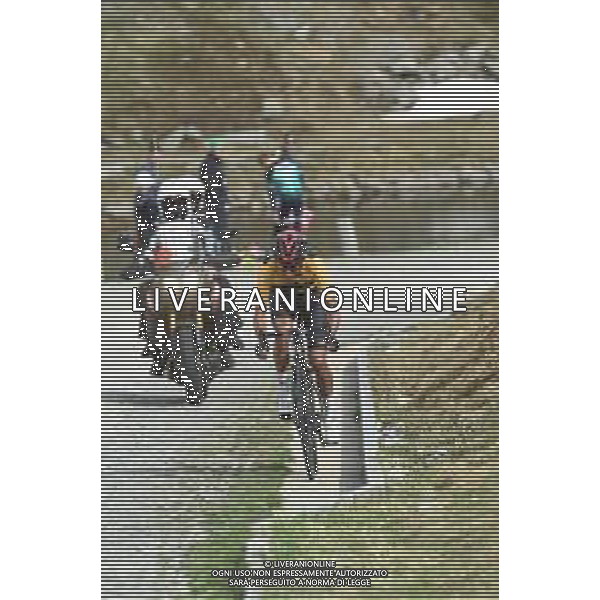 21-06-2019 Tour De Suisse; Tappa 07 Unterterzen - San Gottardo; 2019, Team Ineos; Bernal Gomez, Arley; San Gottardo; ©SIROTTI / AGENZIA ALDO LIVERANI SAS