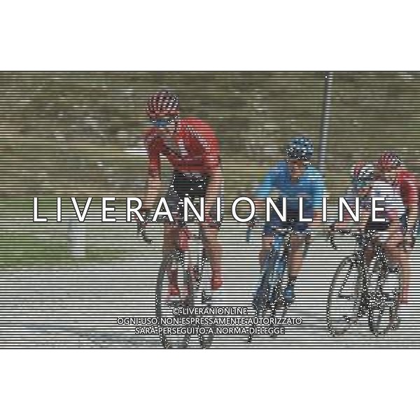 21-06-2019 Tour De Suisse; Tappa 07 Unterterzen - San Gottardo; 2019, Sunweb; Roche, Nicolas; San Gottardo; ©SIROTTI / AGENZIA ALDO LIVERANI SAS