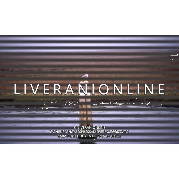 VENEZIA CITTA\' AG ALDO LIVERANI SAS