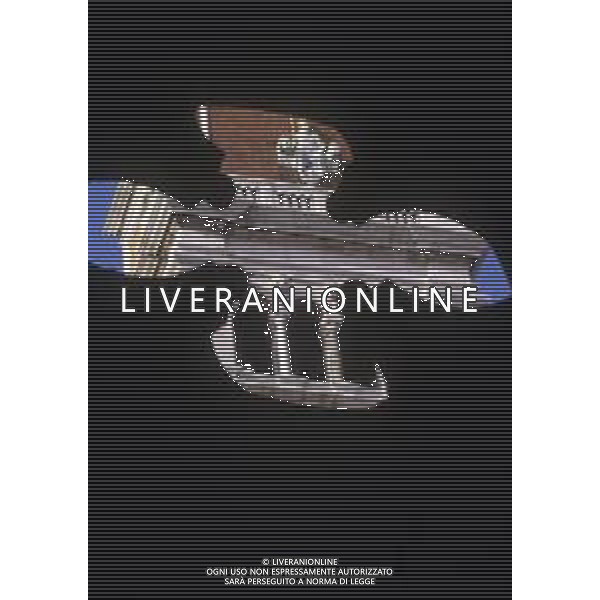 VENEZIA CITTA\' AG ALDO LIVERANI SAS