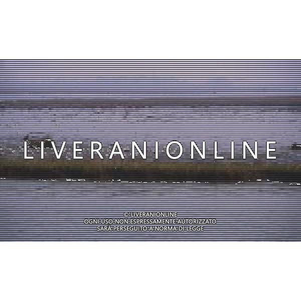 VENEZIA CITTA\' AG ALDO LIVERANI SAS
