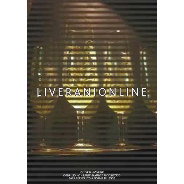 VENEZIA CITTA\' AG ALDO LIVERANI SAS