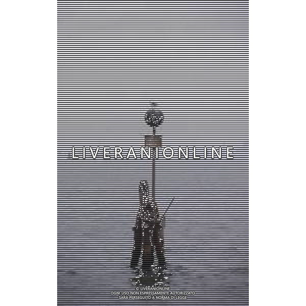VENEZIA CITTA\' AG ALDO LIVERANI SAS