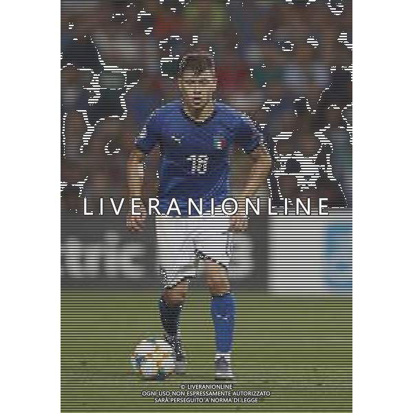 UEFA - Campionato Europeo Under 21 Italia 2019 gruppo A 22/06/2019 Belgio - Italia nella foto: Barella Nicolo’ (Italia) ©Claudio Zamagni/Agenzia Aldo Liverani Barella Nicolo’ (Italia) during UEFA Championship Under 21 Italy 2019 group A match between Belgium and Italy at Reggio-Emilia Mapei Stadium on June 22 2019. photo credit by Claudio Zamagni/Aldo Liverani Photo Agency