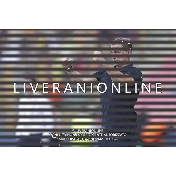 UEFA - Campionato Europeo Under 21 Italia 2019 27/06/2019 Semifinale Germania - Romania. nella foto: Mister Stefan Kuntz (Germany) esultanza ©Claudio Zamagni/Agenzia Aldo Liverani Mister Stefan Kuntz (Germany) during semifinal UEFA Championship Under 21 Italy 2019 match between Germany and Romania at Renato Dall\'Ara Stadium on June 27 2019. photo credit by Claudio Zamagni/Aldo Liverani Photo Agency/ AGENZIA ALDO LIVERANI SAS