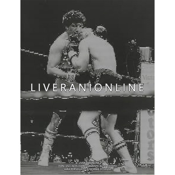 RETROSPETTIVA FRANCESCO DAMIANI PUGILE 1986 NELLA FOTO FRANCESCO DAMIANI CONTRO CRABTREE AG ALDO LIVERANI SAS