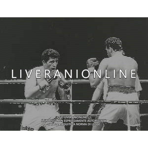 RETROSPETTIVA FRANCESCO DAMIANI PUGILE NELLA FOTO FRANCESCO DAMIANI AG ALDO LIVERANI SAS