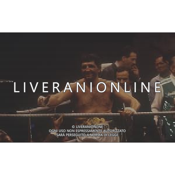 RETROSPETTIVA FRANCESCO DAMIANI PUGILE NELLA FOTO FRANCESCO DAMIANI AG ALDO LIVERANI SAS