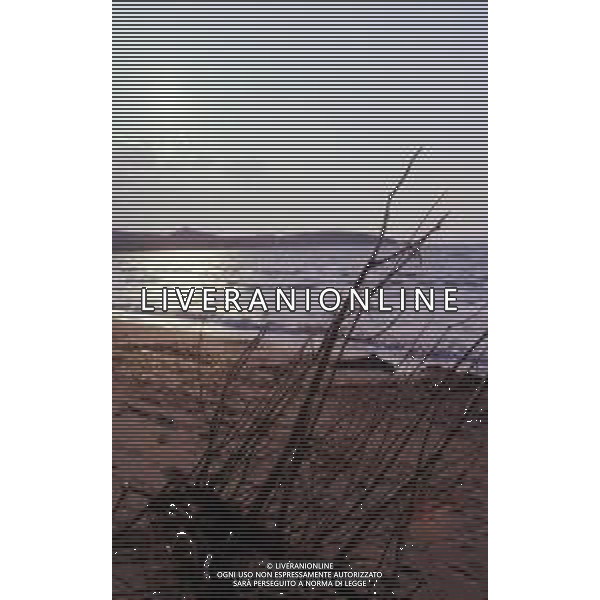 Punta Ala è una frazione del comune italiano di Castiglione della Pescaia, nella provincia di Grosseto, in Toscana ag aldo liverani sas