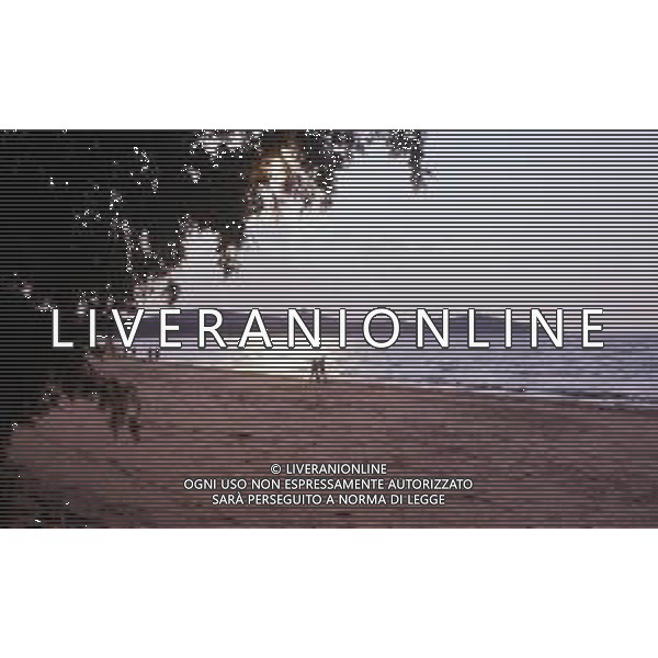 Punta Ala è una frazione del comune italiano di Castiglione della Pescaia, nella provincia di Grosseto, in Toscana ag aldo liverani sas