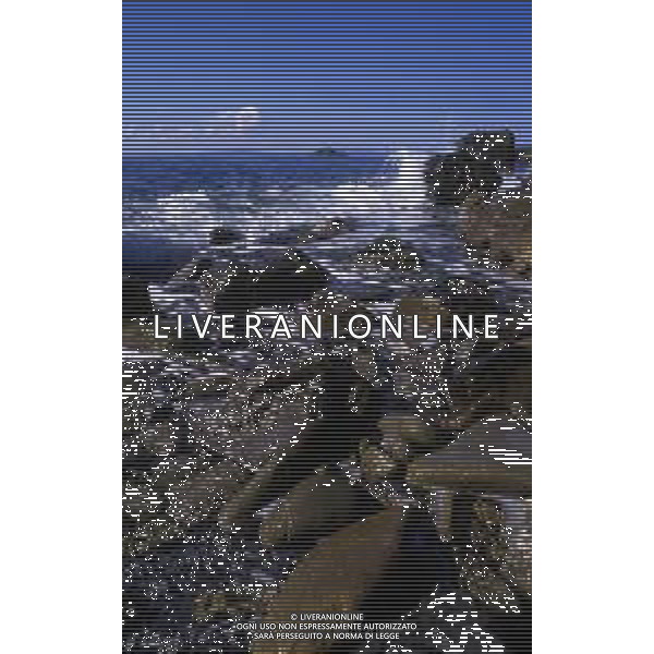 Punta Ala è una frazione del comune italiano di Castiglione della Pescaia, nella provincia di Grosseto, in Toscana ag aldo liverani sas