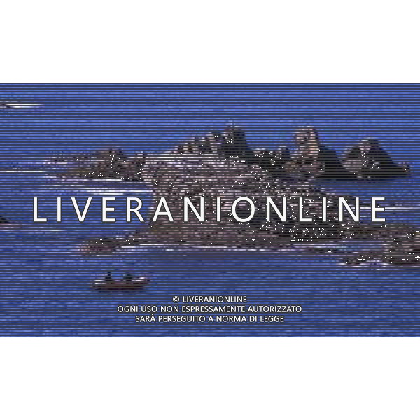 Punta Ala è una frazione del comune italiano di Castiglione della Pescaia, nella provincia di Grosseto, in Toscana ag aldo liverani sas