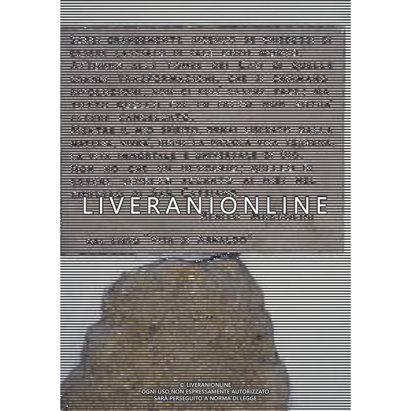PREDAPPIO - CIMITERO DI SAN CASSIANO CRIPTA TOMBA DELLA FAMIGLIA MUSSOLINI AG ALDO LIVERANI SAS