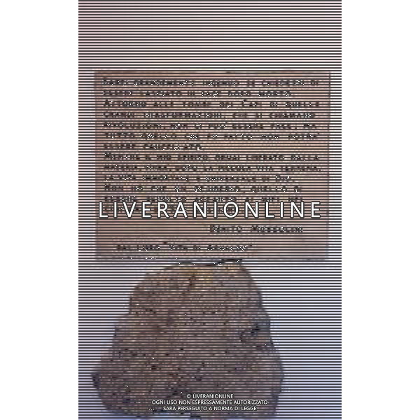 PREDAPPIO - CIMITERO DI SAN CASSIANO CRIPTA TOMBA DELLA FAMIGLIA MUSSOLINI AG ALDO LIVERANI SAS