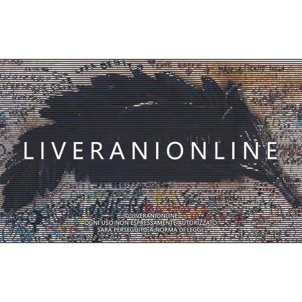 PREDAPPIO - CIMITERO DI SAN CASSIANO CRIPTA TOMBA DELLA FAMIGLIA MUSSOLINI AG ALDO LIVERANI SAS