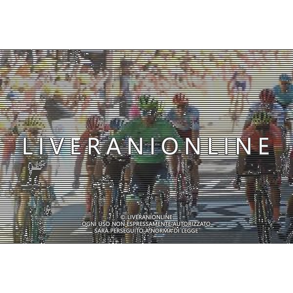 10-07-2019 Tour De France; Tappa 05 Saint Die De Vosges - Colmar; 2019, Bora - Hansgrohe; Sagan, Peter; Colmar; ©SIROTTI / AGENZIA ALDO LIVERANI SAS