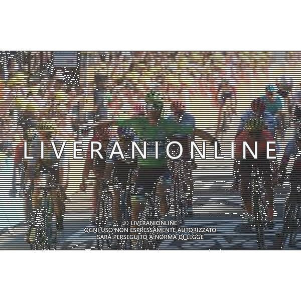 10-07-2019 Tour De France; Tappa 05 Saint Die De Vosges - Colmar; 2019, Bora - Hansgrohe; Sagan, Peter; Colmar; ©SIROTTI / AGENZIA ALDO LIVERANI SAS